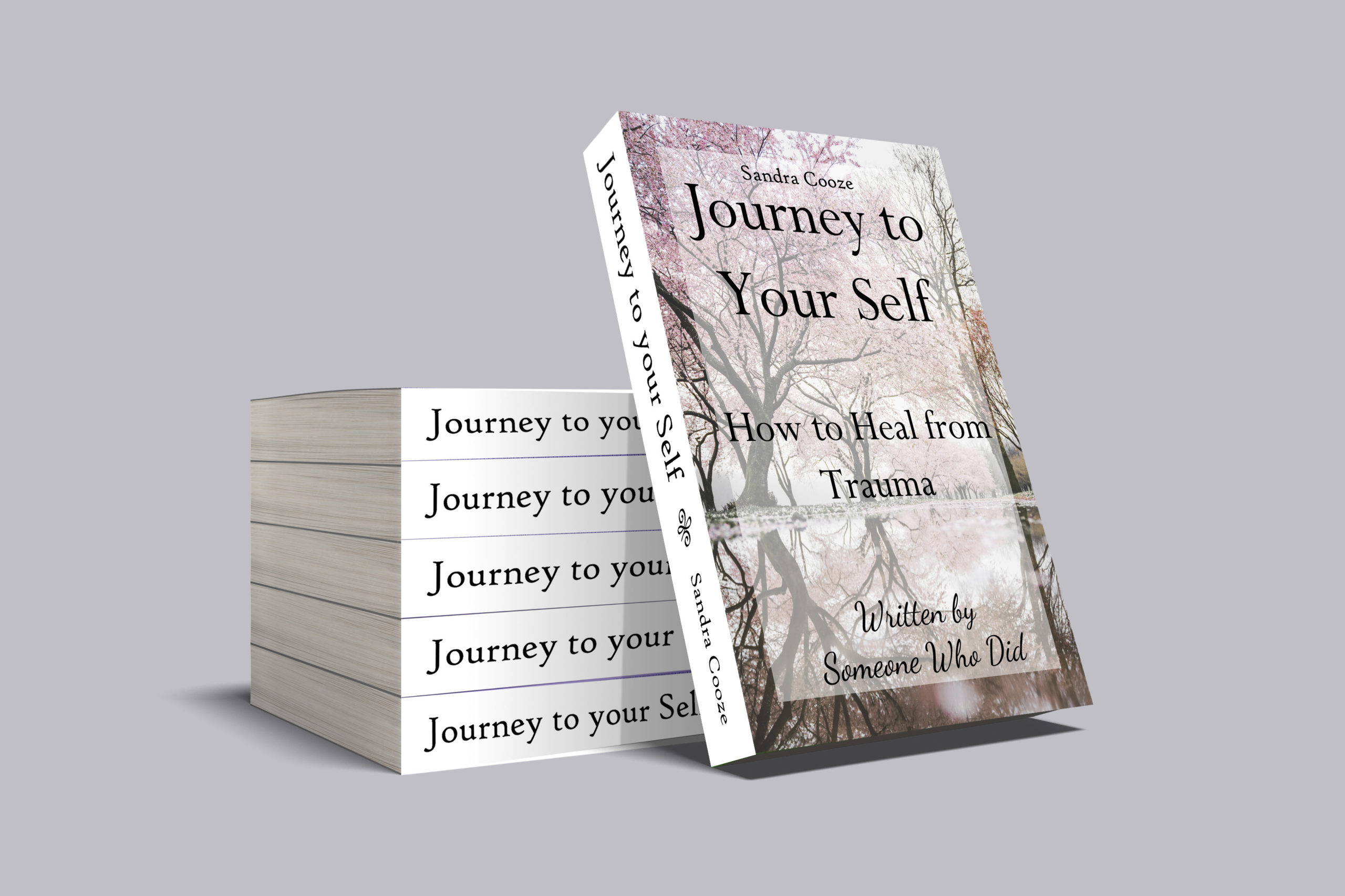 new-book-idea-mock-up-capital-1-1